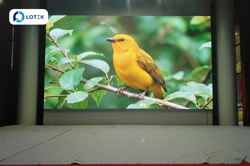 GIẢI PHÁP TRIỂN KHAI TẠI HỘI TRƯỜNG 1