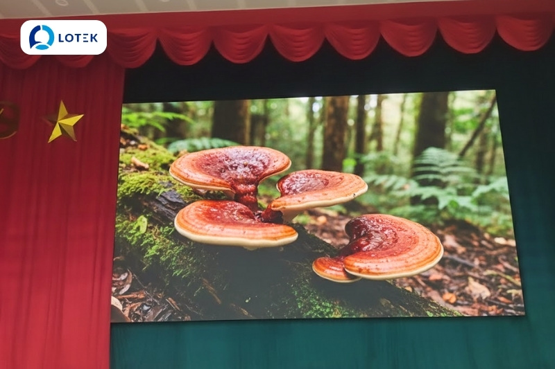 TỔNG QUAN DỰ ÁN 2