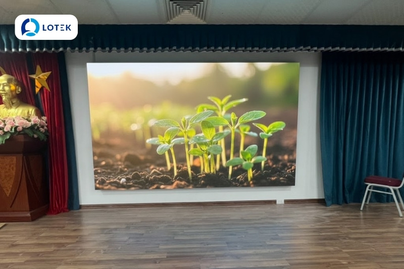 HIỆU QUẢ SAU KHI ĐƯA VÀO SỬ DỤNG 1