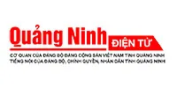 bao tinh (4)